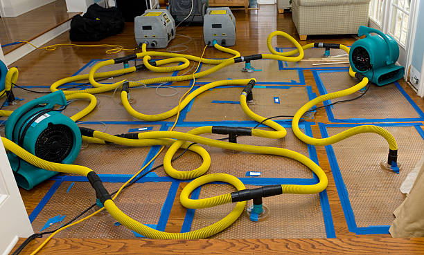 Professional Burst Pipe Water Damage technician working in Dexter, NM